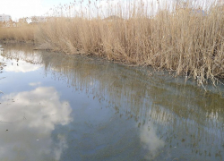 Казачий ерик в Астрахани стал водоемом нечистот