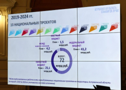 Губернатору доложили о реализации 13 нацпроектов в Астраханской области