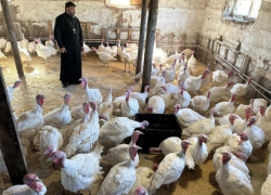 Под Астраханью появилась церковная ферма для бездомных