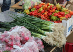 13 мая в Астрахани проведут последнюю весеннюю сельхозярмарку