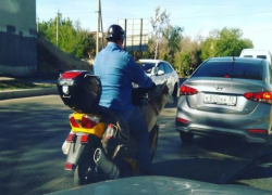  В Астрахани на мотоцикле разъезжает пёс