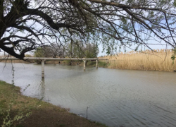Стало известно о водохозяйственной обстановке в Астраханской области