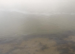 В Астрахани зафиксировали загрязнение Волги нефтепродуктами 