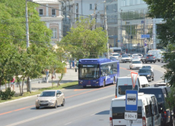 В Астрахани опилят мешающие проезду общественного транспорта ветки деревьев