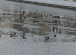 Астраханцам не могут назвать толщину льда на городских водоемах