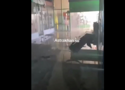 Опубликовали кадры последствий пожара в торговом центре «Айсберг» в Астрахани  