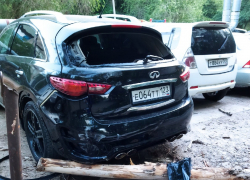 Элитное авто стало жертвой астраханского дерева 