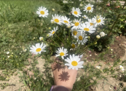 Прогноз погоды, именины, праздники в Астрахани в среду 28 июня