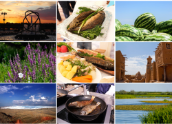 Турпотенциал Астраханской области представят на форуме «Россия» на ВДНХ