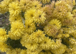 В Астрахань придет ощутимое потепление