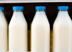 Астраханский производитель сделал из 95 литров молока 120 килограмм продуктов