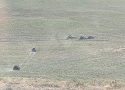 В Астраханской области вандалы катались по заповеднику с редчайшим геккончиком