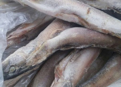 Икрянинский предприниматель хранил три тонны рыбы неизвестного происхождения 