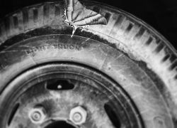 31-летний водитель сбил пенсионерку в Астрахани