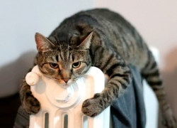 Прогноз погоды, именины, праздники в Астрахани 16 января