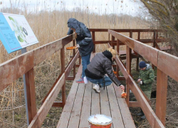 Астраханский заповедник приглашает поучаствовать в волонтерских экспедициях