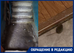 Жители улицы Николая Островского в Астрахани два года борются с сыростью в домах