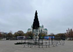 Астраханцам раскрыли расположение всех новогодних елок в городе