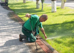В Астрахани хотят ужесточить наказание за нарушение правил благоустройства