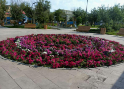 Астрахань и отдаленные микрорайоны готовят к озеленению