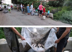 В Астрахани из пересохшей речки Яблонька спасли рыбу