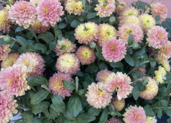 Погода, праздники, именины во вторник 24 октября