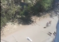 В Астрахани толпа подростов закидала камнями дедушку