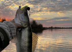 Погода, праздники, именины в пятницу 24 ноября 