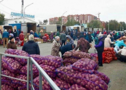 Астраханцев приглашают на сельскохозяйственную ярмарку 