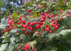 Прогноз погоды, именины, праздники в Астрахани в среду 30 августа