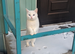 Погода, праздники, именины во вторник 19 декабря 