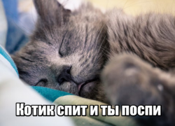 Большинство опрошенных астраханцев испытывают проблемы со сном