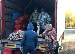 Грузовик полный красной рыбы задержали под Астраханью