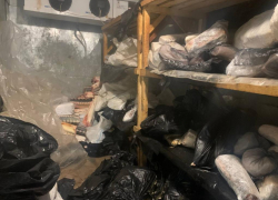 Астраханец оборудовал нелегальный цех для хранения краснокнижной рыбы 