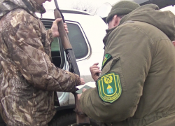 Задержанный под Астраханью охотник заплатит за убийство двух фазанов