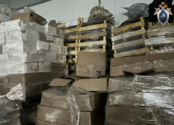 На складе в Астрахани обнаружили почти пять тонн сомнительной рыбной продукции