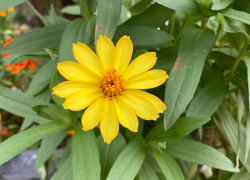 Прогноз погоды, именины, праздники в Астрахани в среду 23 августа