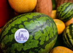 В 2023 году Астраханская область вырастит 300 тысяч тонн бахчевых