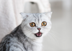 17 ноября астраханцам опять отключат холодную воду