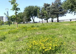 Прогноз погоды, именины, праздники в Астрахани в субботу 24 июня