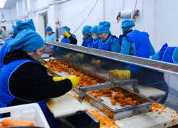 Астраханский завод произвел 2,6 тысячи тонн замороженных овощей, часть отправилась по России