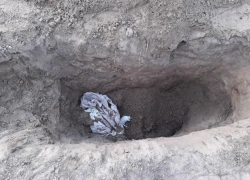 В Астрахани волгоградцы жестоко убили и закопали владельца дорогой иномарки 