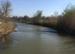 Прогноз погоды, именины, праздники в Астрахани в пятницу 14 апреля