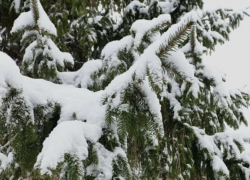 Погода, праздники, именины в понедельник 18 декабря 