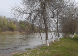 На расчистку астраханских каналов-рыбоходов выделят более 400 миллионов рублей