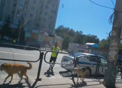 Астраханцы возмущены отсутствием пешеходного перехода на Спутнике