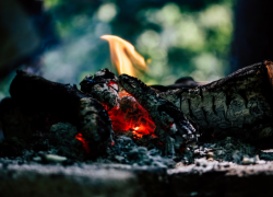 С начала года в Астраханской области случилось 1198 возгораний травы и мусора