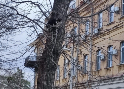 Погода, праздники, именины во вторник 26 декабря 