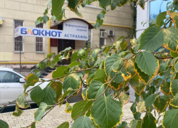 Астраханцам рассказали, какой будет погода в начале ноября