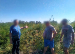 В Астраханской области у мужчины в машине нашли полкило конопли